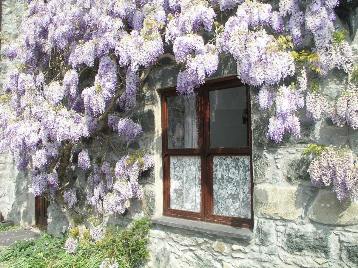 Conwy Valley Cottages Екстер'єр фото